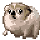 Nervous Dog